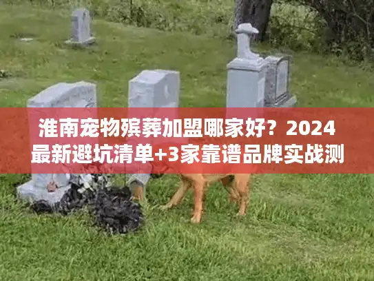 淮南宠物殡葬加盟哪家好？2024最新避坑清单+3家靠谱品牌实战测评