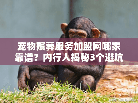 宠物殡葬服务加盟网哪家靠谱?内行人揭秘3个避坑技巧+1个实战案例 宠物殡葬服务加盟网哪家靠谱?内行人揭秘3个避坑技巧+1个实战案例