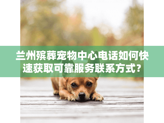 兰州殡葬宠物中心电话如何快速获取可靠服务联系方式? 兰州殡葬宠物中心电话如何快速获取可靠服务联系方式?