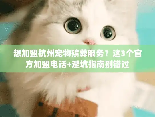 想加盟杭州宠物殡葬服务?这3个官方加盟电话+避坑指南别错过 想加盟杭州宠物殡葬服务?这3个官方加盟电话+避坑指南别错过