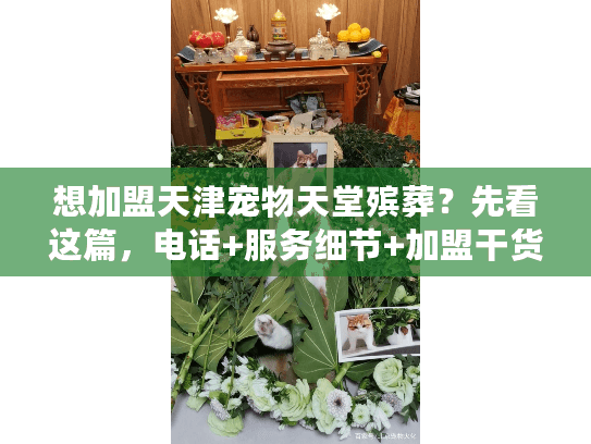 想加盟天津宠物天堂殡葬？先看这篇，电话+服务细节+加盟干货全解析