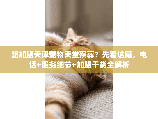 想加盟天津宠物天堂殡葬？先看这篇，电话+服务细节+加盟干货全解析