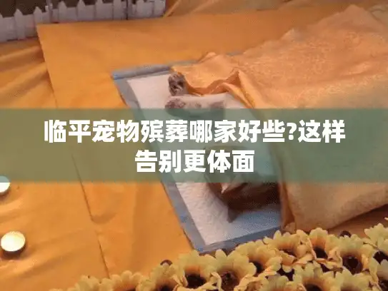 临平宠物殡葬哪家好些?这样告别更体面