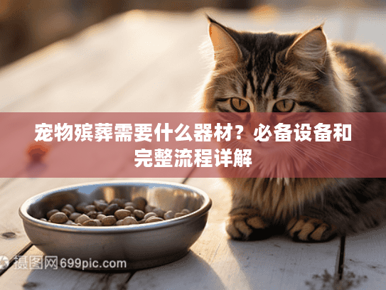 宠物殡葬需要什么器材？必备设备和完整流程详解