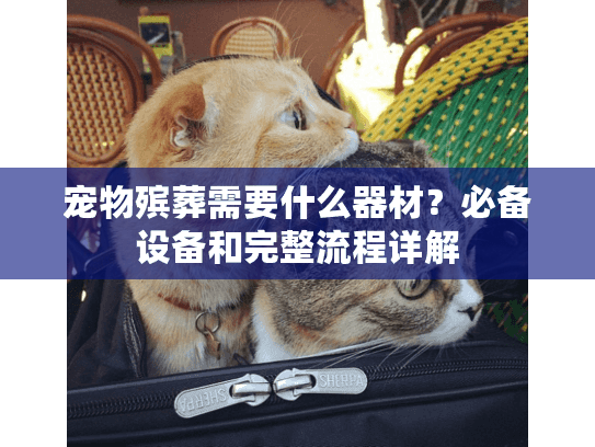 宠物殡葬需要什么器材？必备设备和完整流程详解