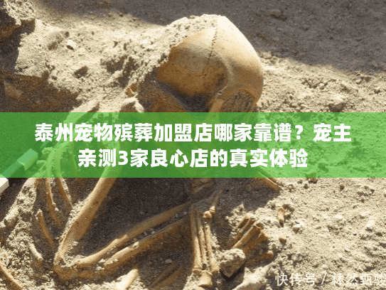 泰州宠物殡葬加盟店哪家靠谱？宠主亲测3家良心店的真实体验