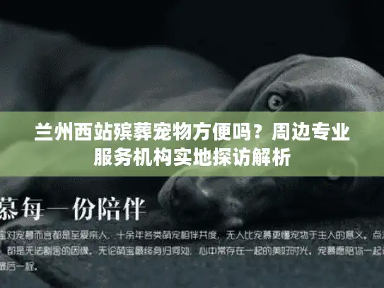 兰州西站殡葬宠物方便吗？周边专业服务机构实地探访解析