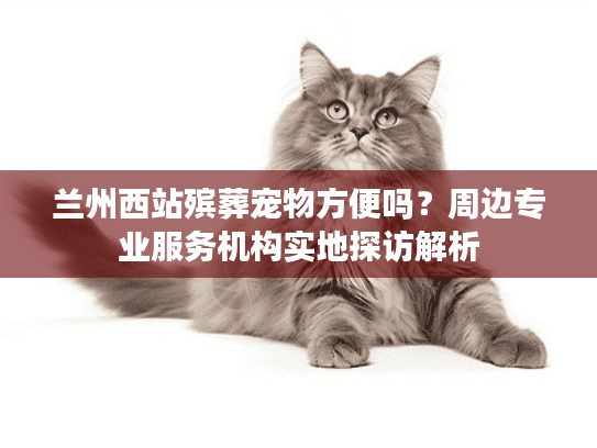 兰州西站殡葬宠物方便吗？周边专业服务机构实地探访解析