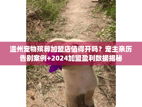 温州宠物殡葬加盟店值得开吗？宠主亲历告别案例+2024加盟盈利数据揭秘