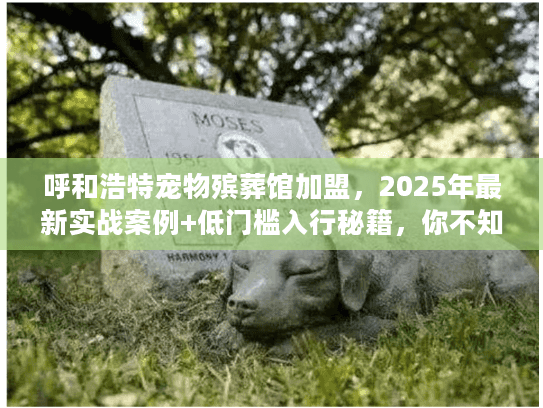 呼和浩特宠物殡葬馆加盟，2025年最新实战案例+低门槛入行秘籍，你不知道的3个盈利点？