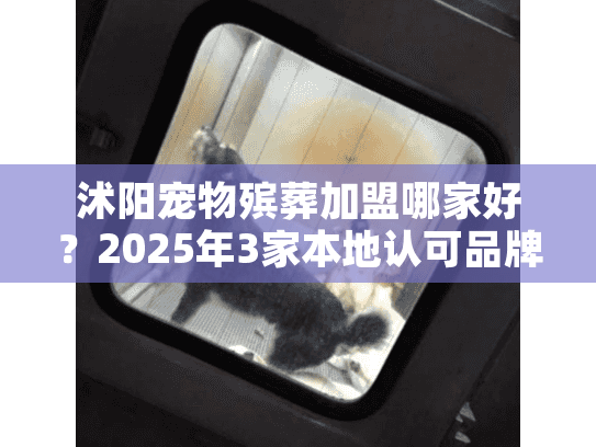 沭阳宠物殡葬加盟哪家好?2025年3家本地认可品牌实地测评(附政策对比) 沭阳宠物殡葬加盟哪家好?2025年3家本地认可品牌实地测评(附政策对比)