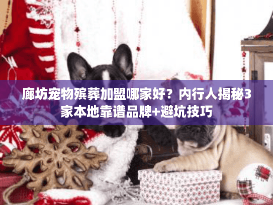 廊坊宠物殡葬加盟哪家好？内行人揭秘3家本地靠谱品牌+避坑技巧