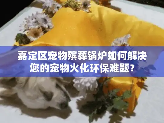 嘉定区宠物殡葬锅炉如何解决您的宠物火化环保难题？