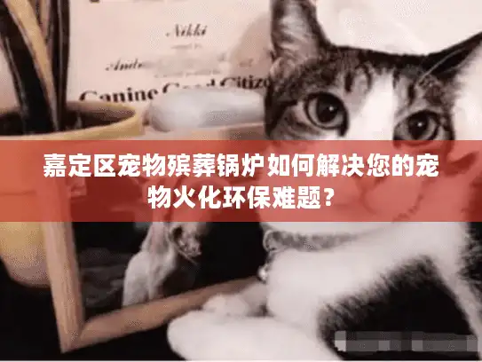 嘉定区宠物殡葬锅炉如何解决您的宠物火化环保难题？