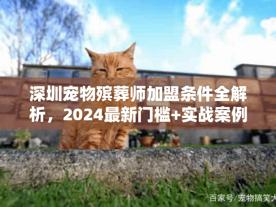 深圳宠物殡葬师加盟条件全解析,2024最新门槛+实战案例,想入行必看! 深圳宠物殡葬师加盟条件全解析,2024最新门槛+实战案例,想入行必看!