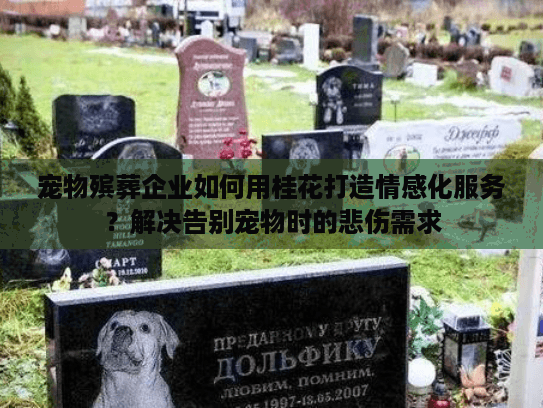 宠物殡葬企业如何用桂花打造情感化服务？解决告别宠物时的悲伤需求