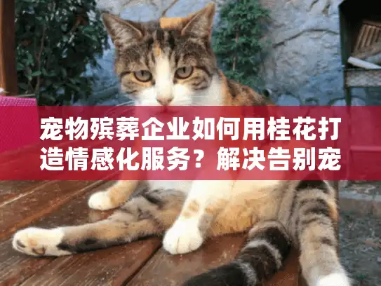 宠物殡葬企业如何用桂花打造情感化服务？解决告别宠物时的悲伤需求