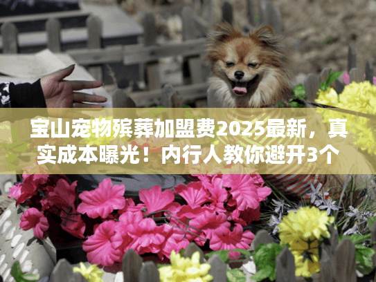 宝山宠物殡葬加盟费2025最新，真实成本曝光！内行人教你避开3个加盟坑