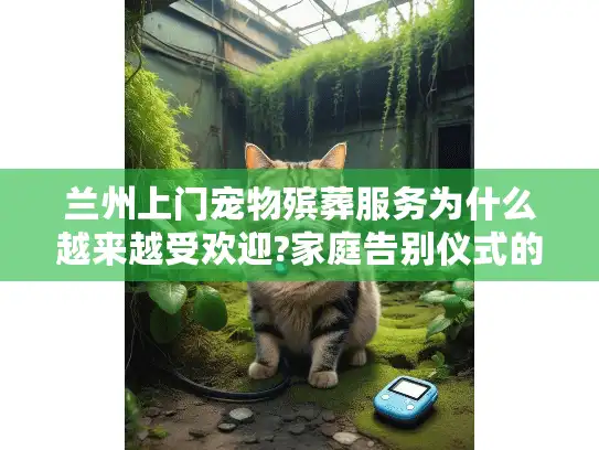 兰州上门宠物殡葬服务为什么越来越受欢迎?家庭告别仪式的暖心选择 兰州上门宠物殡葬服务为什么越来越受欢迎?家庭告别仪式的暖心选择