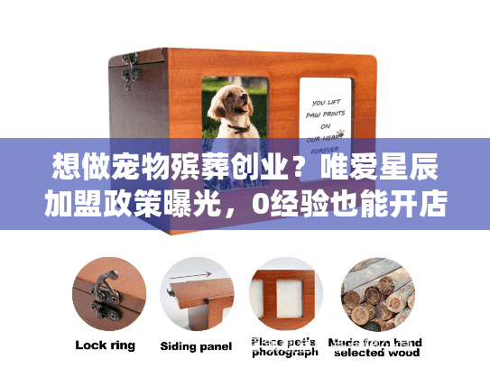 想做宠物殡葬创业？唯爱星辰加盟政策曝光，0经验也能开店的秘密