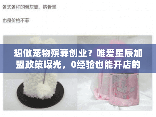 想做宠物殡葬创业？唯爱星辰加盟政策曝光，0经验也能开店的秘密