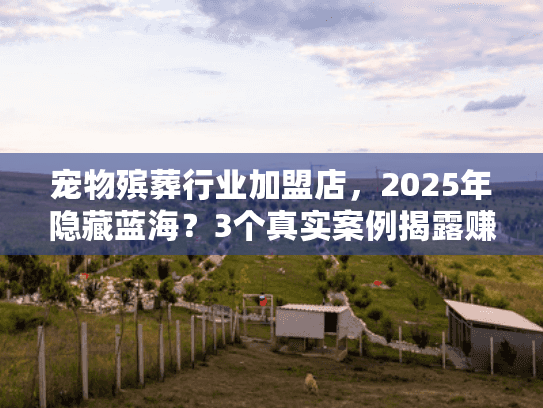 宠物殡葬行业加盟店，2025年隐藏蓝海？3个真实案例揭露赚钱逻辑