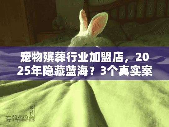 宠物殡葬行业加盟店，2025年隐藏蓝海？3个真实案例揭露赚钱逻辑