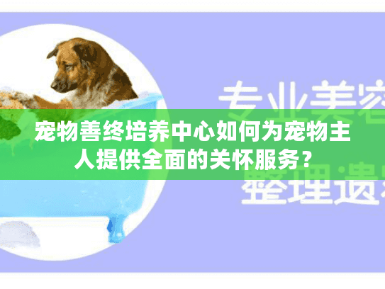 宠物善终培养中心如何为宠物主人提供全面的关怀服务? 宠物善终培养中心如何为宠物主人提供全面的关怀服务?