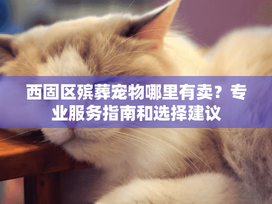 西固区殡葬宠物哪里有卖？专业服务指南和选择建议