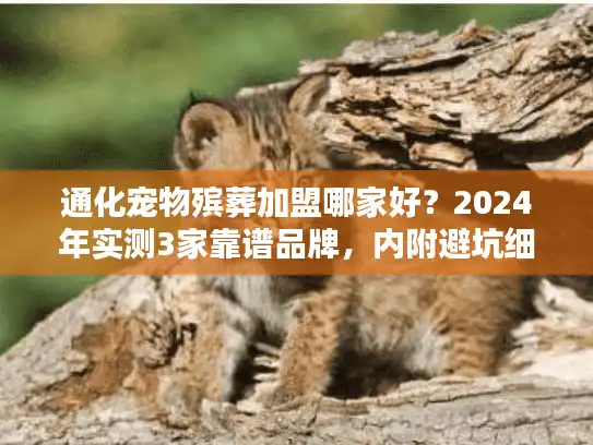 通化宠物殡葬加盟哪家好？2024年实测3家靠谱品牌，内附避坑细节与盈利数据！