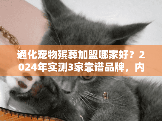 通化宠物殡葬加盟哪家好？2024年实测3家靠谱品牌，内附避坑细节与盈利数据！