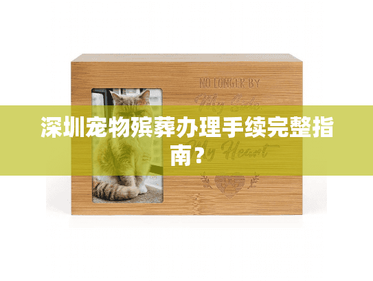 深圳宠物殡葬办理手续完整指南？