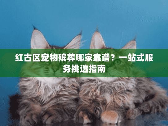 红古区宠物殡葬哪家靠谱?一站式服务挑选指南 红古区宠物殡葬哪家靠谱?一站式服务挑选指南