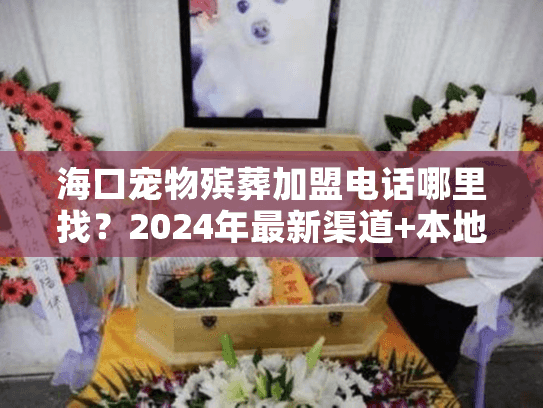海口宠物殡葬加盟电话哪里找?2024年最新渠道+本地实战案例揭秘 海口宠物殡葬加盟电话哪里找?2024年最新渠道+本地实战案例揭秘