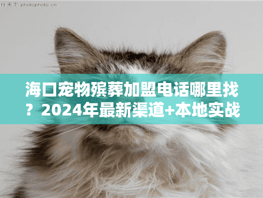 海口宠物殡葬加盟电话哪里找?2024年最新渠道+本地实战案例揭秘 海口宠物殡葬加盟电话哪里找?2024年最新渠道+本地实战案例揭秘