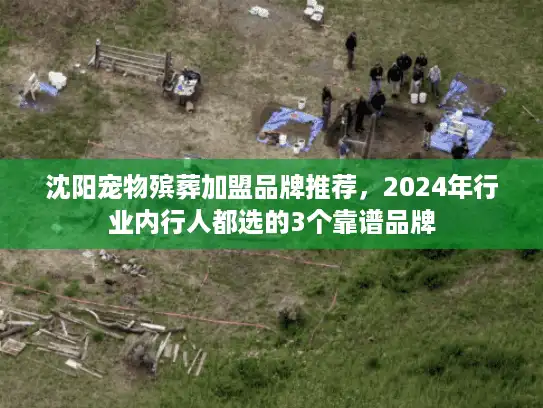 沈阳宠物殡葬加盟品牌推荐,2024年行业内行人都选的3个靠谱品牌 沈阳宠物殡葬加盟品牌推荐,2024年行业内行人都选的3个靠谱品牌