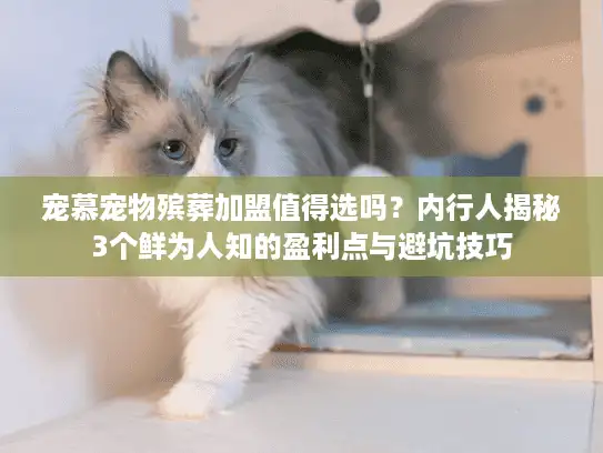 宠慕宠物殡葬加盟值得选吗？内行人揭秘3个鲜为人知的盈利点与避坑技巧