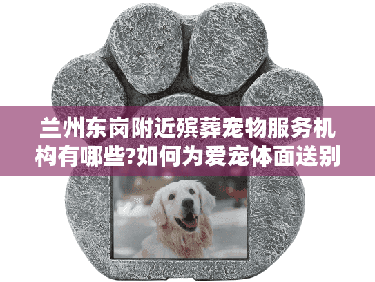 兰州东岗附近殡葬宠物服务机构有哪些?如何为爱宠体面送别?