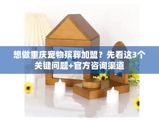 想做重庆宠物殡葬加盟？先看这3个关键问题+官方咨询渠道