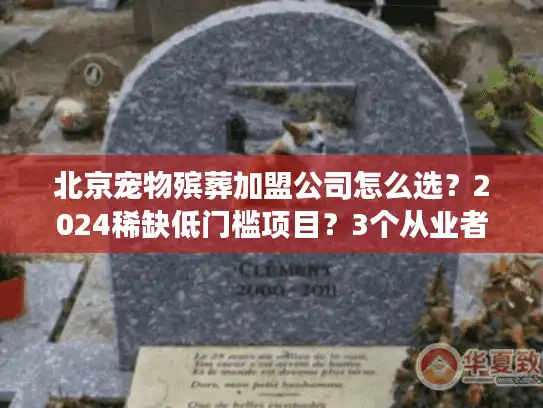 北京宠物殡葬加盟公司怎么选？2024稀缺低门槛项目？3个从业者亲述真相