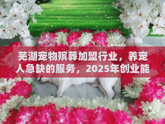 芜湖宠物殡葬加盟行业,养宠人急缺的服务,2025年创业能赚吗? 芜湖宠物殡葬加盟行业,养宠人急缺的服务,2025年创业能赚吗?