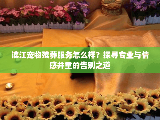 滨江宠物殡葬服务怎么样?探寻专业与情感并重的告别之道 滨江宠物殡葬服务怎么样?探寻专业与情感并重的告别之道