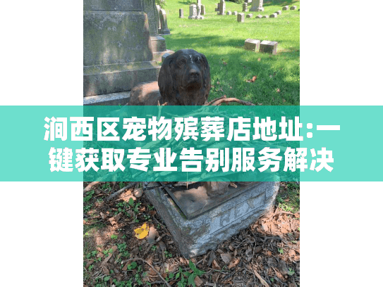 涧西区宠物殡葬店地址:一键获取专业告别服务解决急迫需求