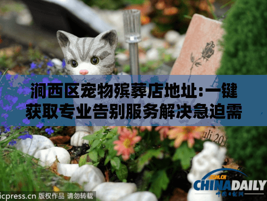 涧西区宠物殡葬店地址:一键获取专业告别服务解决急迫需求