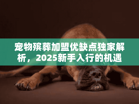 宠物殡葬加盟优缺点独家解析，2025新手入行的机遇与隐藏风险？