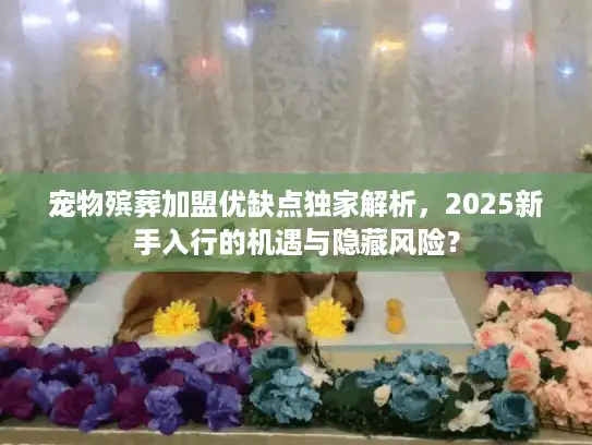 宠物殡葬加盟优缺点独家解析，2025新手入行的机遇与隐藏风险？