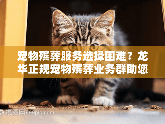 宠物殡葬服务选择困难?龙华正规宠物殡葬业务群助您安心告别 宠物殡葬服务选择困难?龙华正规宠物殡葬业务群助您安心告别