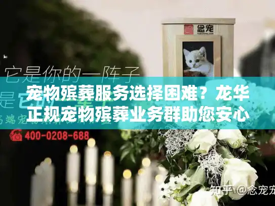 宠物殡葬服务选择困难?龙华正规宠物殡葬业务群助您安心告别 宠物殡葬服务选择困难?龙华正规宠物殡葬业务群助您安心告别
