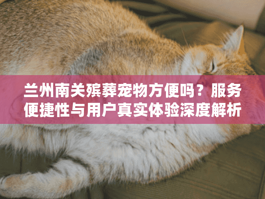 兰州南关殡葬宠物方便吗？服务便捷性与用户真实体验深度解析