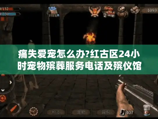 痛失爱宠怎么办?红古区24小时宠物殡葬服务电话及殡仪馆地址全指南